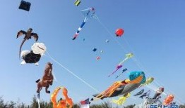 潍坊风筝节最新爆料新闻,千姿百态风筝展翅翱翔