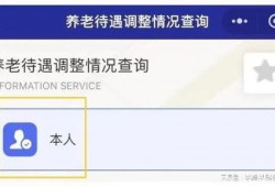 养老金最新爆料信息查询,揭秘最新爆料背后的政策调整与影响