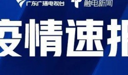最新爆料广东,揭秘背后惊人真相！”