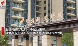 最新爆料广东,揭秘背后惊人真相！”
