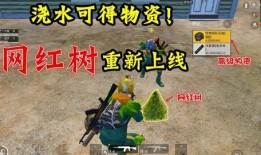 cs最新爆料总结大全,揭秘游戏新动态与未来走向