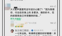 张兰最新爆料仲裁视频,商业纠纷背后的真相与争议