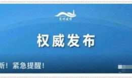 揭阳最新爆料消息今天,揭秘神秘事件背后的真相！”