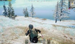 最新爆料六图雪地图片视频,冬日雪地奇观，美不胜收！”