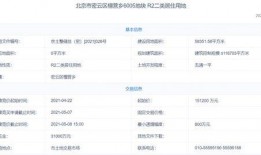 潮州爆料大宝视频最新消息,大宝视频最新动态，揭秘幕后真相！