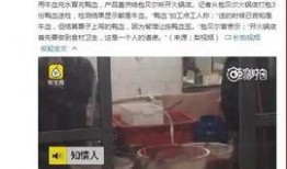 某火锅店爆料视频最新版,揭秘幕后真相，行业乱象一览无余